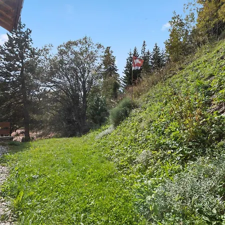 Апартаменты Paisible Au Pied Des Pistes De Кран-Монтана
